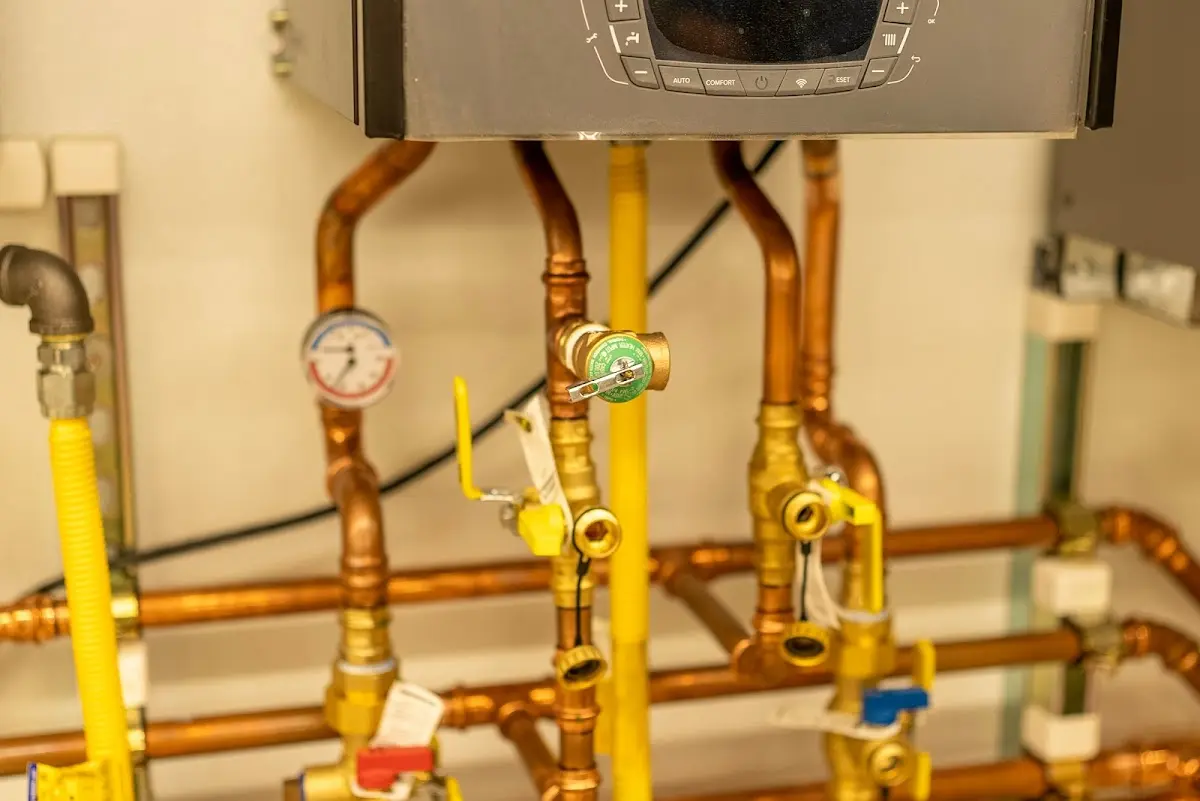 Licensed technician providing Backflow Prevention for a homeowner in Land O' Lakes